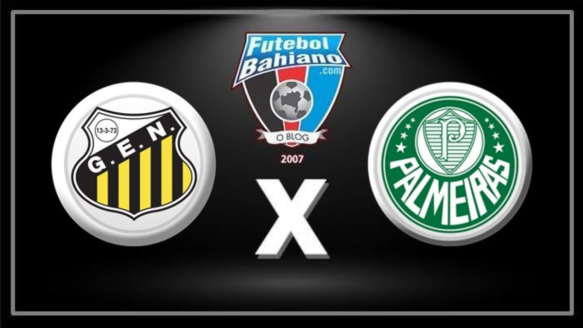 Palmeiras x Novorizontino: Assista AO VIVO e online