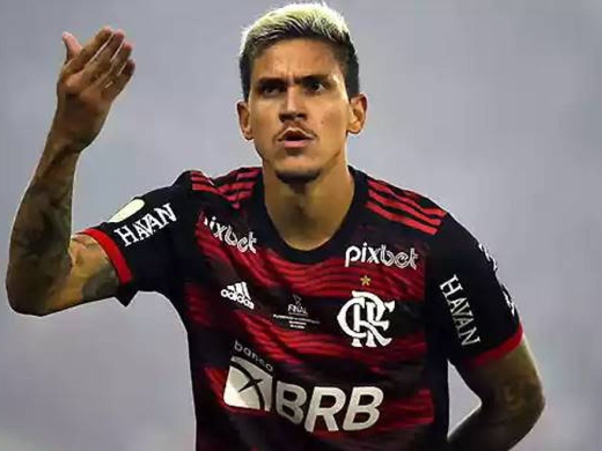 Flamengo tem pênalti polêmico marcado contra o Bahia; assista ao lance, Flamengo